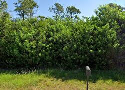 Pre-foreclosure in  Joggins Ave Port Charlotte, FL 33981