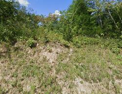 Pre-foreclosure in  Russ Hill Rd Nortonville, KY 42442