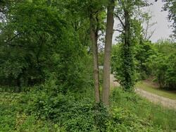 Pre-foreclosure in  N 16th St Plainwell, MI 49080