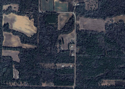 Pre-foreclosure in  LILY LN Marianna, FL 32446