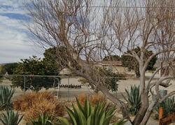  Prospect St, Desert Hot Springs CA