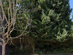  46th Ave S, Seattle WA