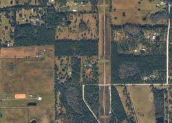 Pre-foreclosure in  Piney Woods Trl Osteen, FL 32764