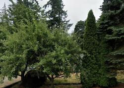  Lakewood Dr, Camano Island WA