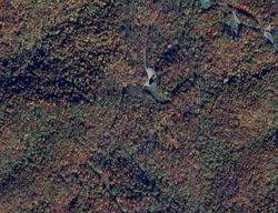 Pre-foreclosure in  Panther Branch Rd Bandy, VA 24602