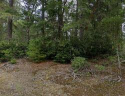 Pre-foreclosure in  Ne Collins Lake Dr Tahuya, WA 98588