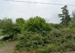  275th St, Ocean Park WA