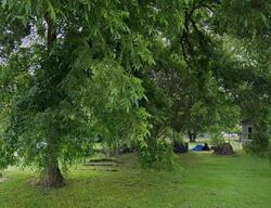 Pre-foreclosure in  W Deport St Detroit, TX 75436