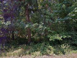 Pre-foreclosure Listing in S Salo Rd MULINO, OR 97042