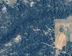 Pre-foreclosure in  E Randall Rd Mead, WA 99021