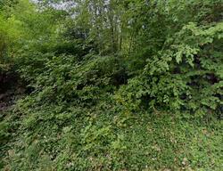 Pre-foreclosure in  Washington Ave Ne Bainbridge Island, WA 98110