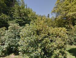 Pre-foreclosure in  Blaine Rd Aberdeen, WA 98520