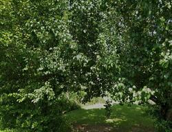 Pre-foreclosure in  COUNTY ROAD 17 Haleyville, AL 35565