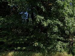 Pre-foreclosure in  State Route 92 Lake Stevens, WA 98258