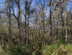  Cherrytree Rd Ne, Winnabow NC