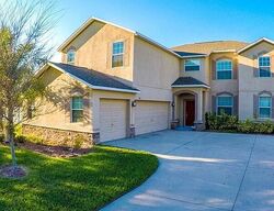 Pre-foreclosure in  ORANGE MILL AVE Ruskin, FL 33570