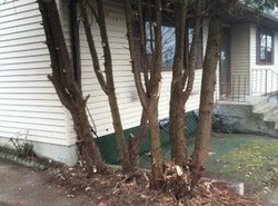 Pre-foreclosure in  WHITE BIRCH DR Waterbury, CT 06708