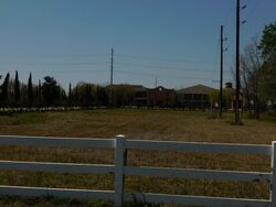 Pre-foreclosure in  ROBERTS RD Hockley, TX 77447