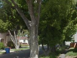 Pre-foreclosure in  S Harcourt Ave Los Angeles, CA 90016