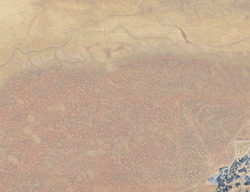 Pre-foreclosure in  Portia Ct Chico, CA 95973