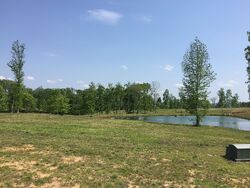 Pre-foreclosure in  Scenic View Trce Birmingham, AL 35244