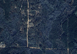 Pre-foreclosure in  Bailey Ln Ellaville, GA 31806