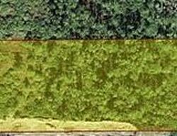  Desoto Blvd S, Naples FL