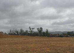 Pre-foreclosure in  Mapes Rd Sun City, CA 92585