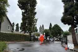  Cornwall Way, San Leandro CA
