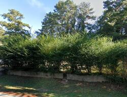 Pre-foreclosure in  Mason Dr Duluth, GA 30096