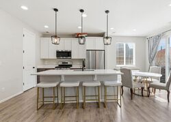 Pre-foreclosure in  Blue Teal Dr Castle Rock, CO 80104