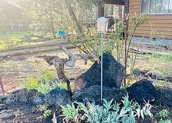  Grove Dr, Lakeside AZ