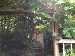  33rd Ave Ne, Seattle WA