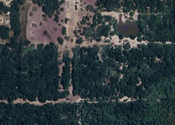 Pre-foreclosure in  County Road 54 E Kathleen, FL 33849