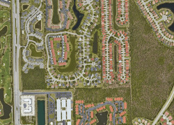 Pre-foreclosure in  Pindo Palm Dr Naples, FL 34104