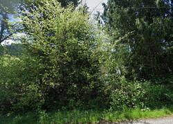  Ne 174th St, Brush Prairie WA