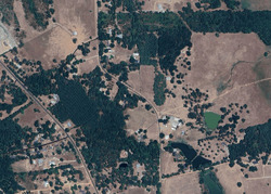 Pre-foreclosure Listing in Pete Duke Rd NACOGDOCHES, TX 75961