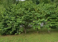 Pre-foreclosure in  EDGEWOOD BLVD Oneida, TN 37841