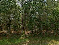 Pre-foreclosure in  E Hopp Ln Inverness, FL 34452