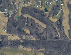 Pre-foreclosure in  Rich Rd Morning View, KY 41063