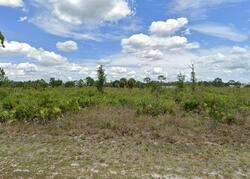 Pre-foreclosure in  Leroy Ave Lehigh Acres, FL 33972