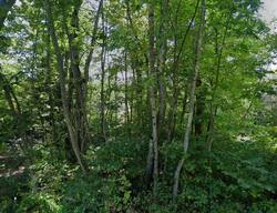 Pre-foreclosure in  Brook Rd Orford, NH 03777