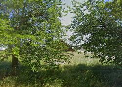  Kobert Rd, Winters CA