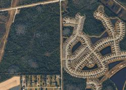 Pre-foreclosure in  Bucking Bronco Dr Jacksonville, FL 32234