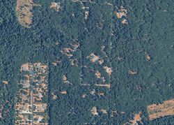 Pre-foreclosure in  Melody Ln Foresthill, CA 95631