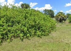 Pre-foreclosure in  W Briarwood Cir Labelle, FL 33935