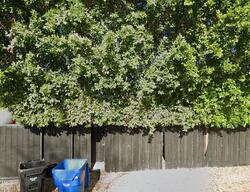 Pre-foreclosure in  Leonora Dr Woodland Hills, CA 91367