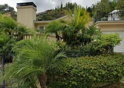 Pre-foreclosure in  Rising Glen Rd West Hollywood, CA 90069