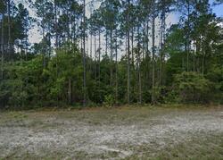 Pre-foreclosure in  Crews Rd Glen Saint Mary, FL 32040