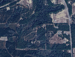  Deer Haven Ln, Chipley FL